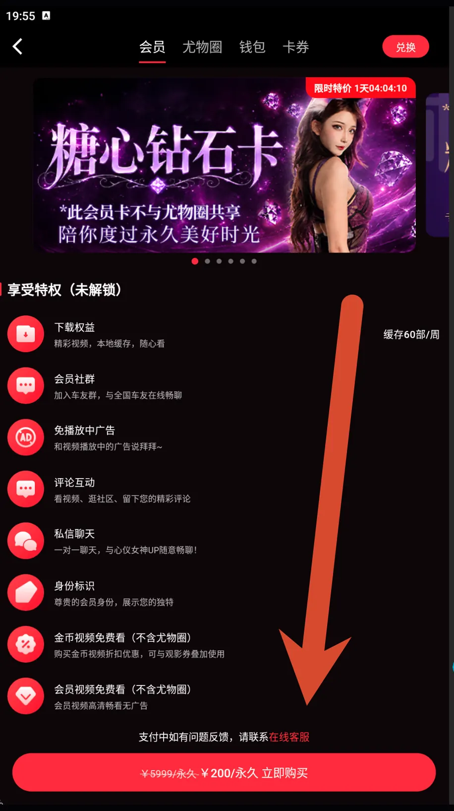 7. 钻石卡:截图价200元永久界面截图或安全提示图