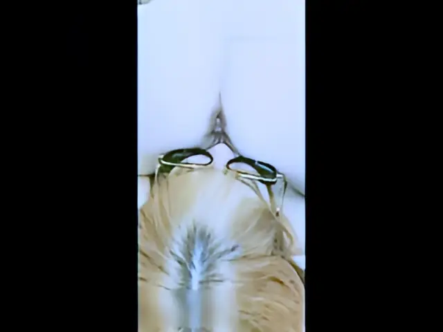 这个是花臂小姐姐的逼毛好茂密啊都长到屁眼附近了的视频封面