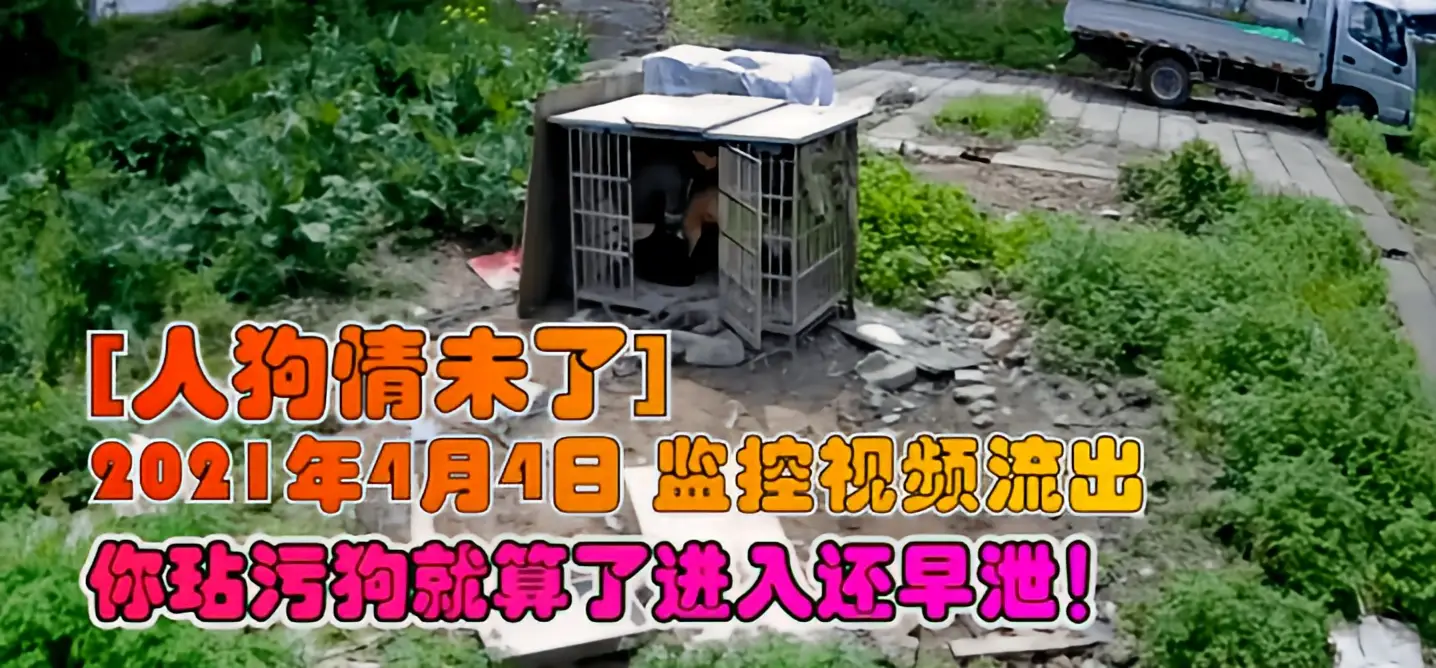 这个是【人狗情未了】2021年4月4日 监控视频流出，你玷污狗就算了进入还早泄！的视频封面
