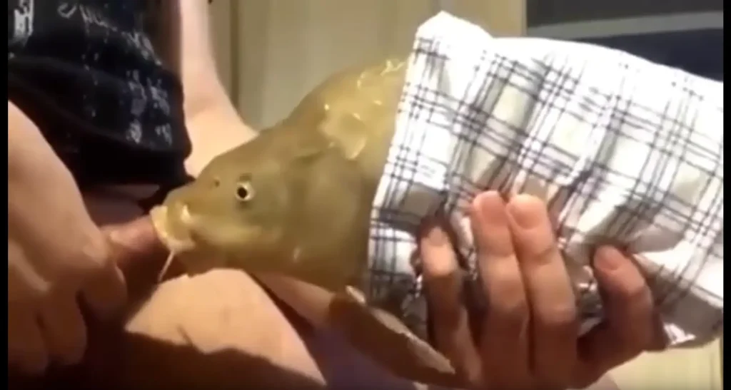 这个是【最近很火的鱼口交】鱼都被迫下海了吗的视频截图