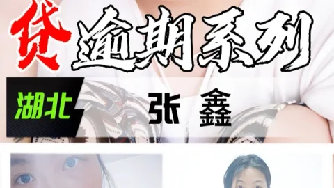 裸贷逾期系列-湖北张鑫
