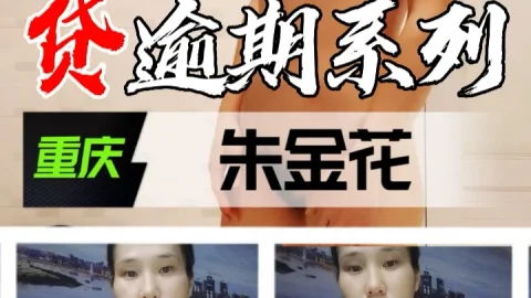 裸贷逾期系列-重庆朱金花