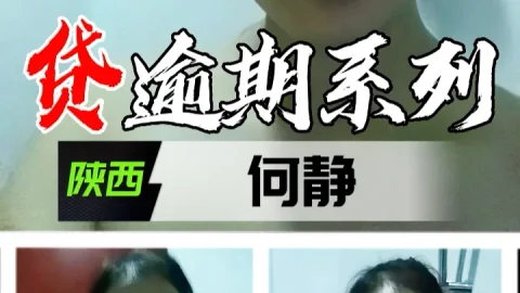 裸贷逾期系列-陕西何静